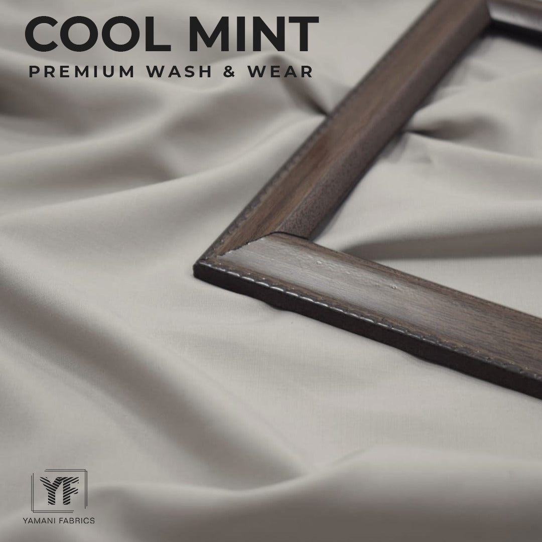 Cool mint premium wash n wear|silver gray 05