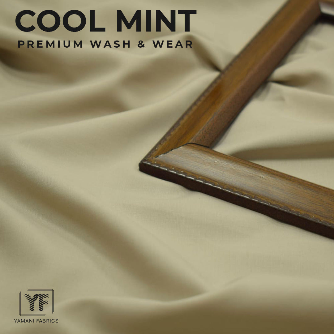 Cool mint premium wash n wear|skin 03